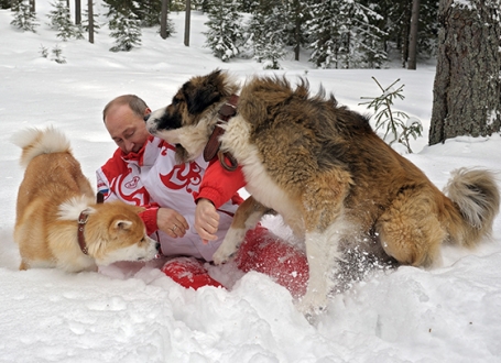 Vladimir Putin