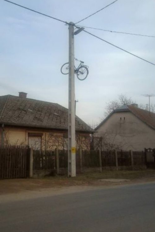 Ovo su neke od najluđih fotografija na mreži! Foto: Internet