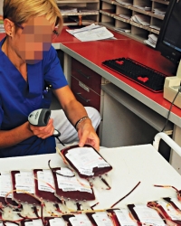 Sumnjive nabavke: Institut za transfuziju krvi