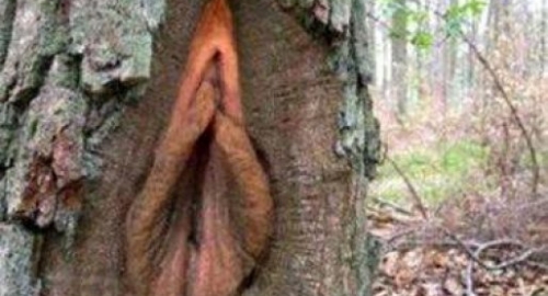 Najlepše vagine | Foto: 