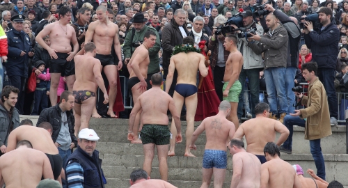 Plivanje za Časni krst Grocka / Foto: Vladan Živančević | Foto: 