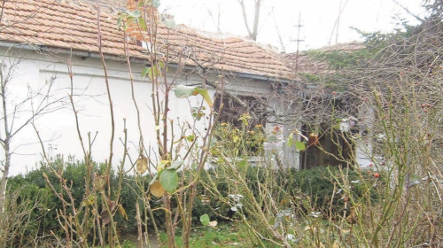 U svojoj kući  preminula je držala  desetak pasa