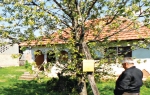 ll