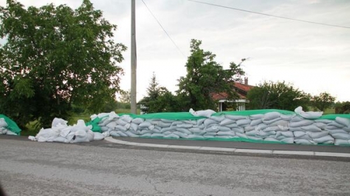Ostružnica