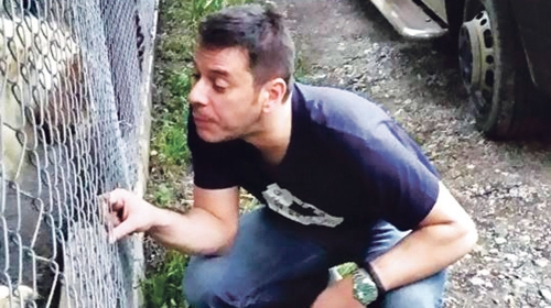 Pošto ih je odveo  na sigurno, Vlado  se igrao sa psima