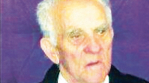 Nestao: Đorđe Golubović