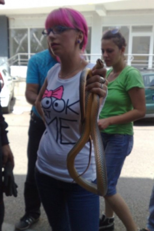 | Foto: V. Torović