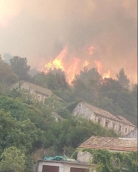 Požar na Pelješcu