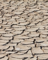 Suša klimatske promene | Foto: Profimedia