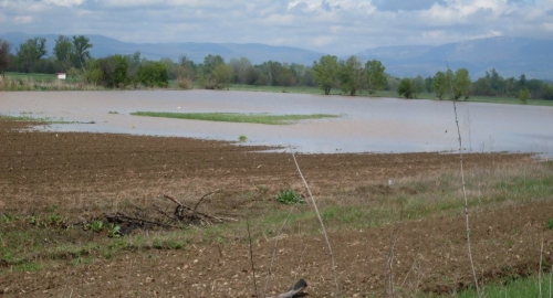 Grejač kod Aleksinca | Foto: 