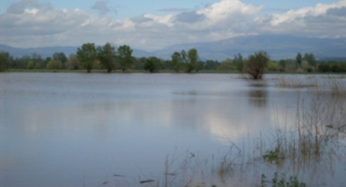Grejač kod Aleksinca | Foto: 