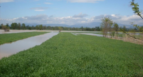 Grejač kod Aleksinca | Foto: 