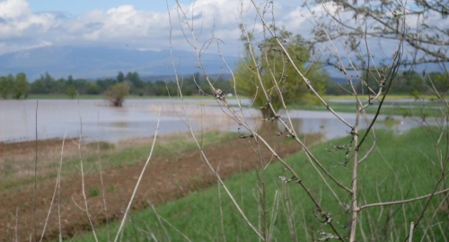 Grejač kod Aleksinca | Foto: 