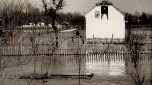 Obrenovac 1962