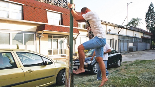 Kao veverica: Jašarspahić