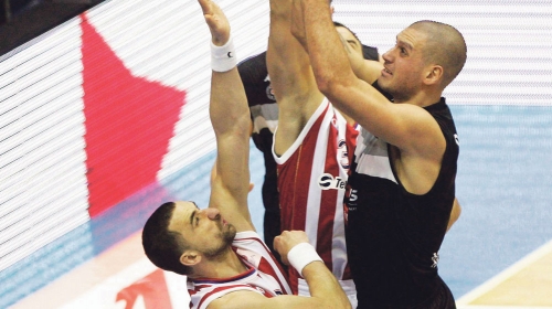 Saša Pavlović