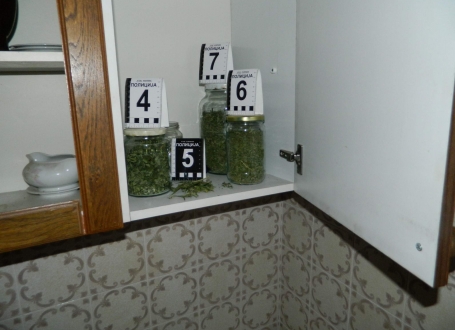 Marihuana iz Aleksinca