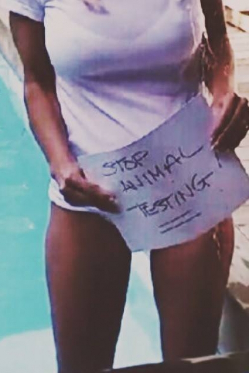 Nema ledene kofe: Pamela Anderson