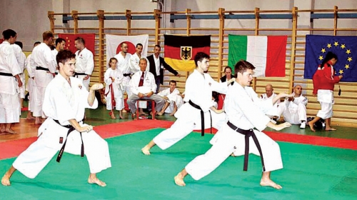 Karate tim na prvenstvu u Milanu