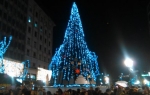 novogodišnja jelka