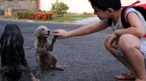 Foto: Reddit