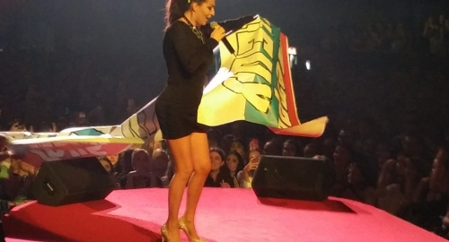 Cecin koncert u Ljubljani | Foto: 