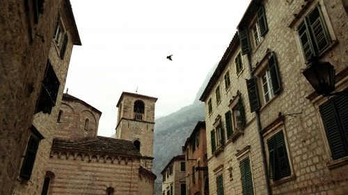Kotor