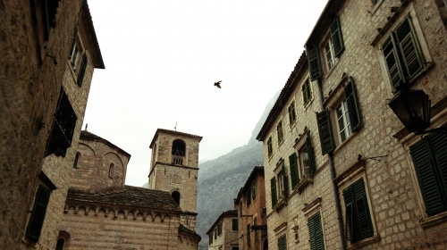 Kotor