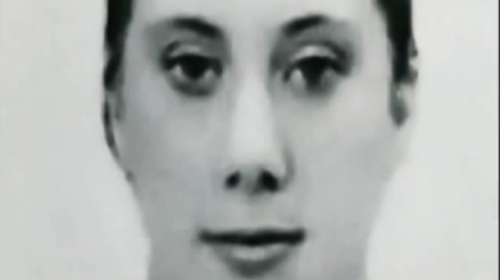 Bela udovica