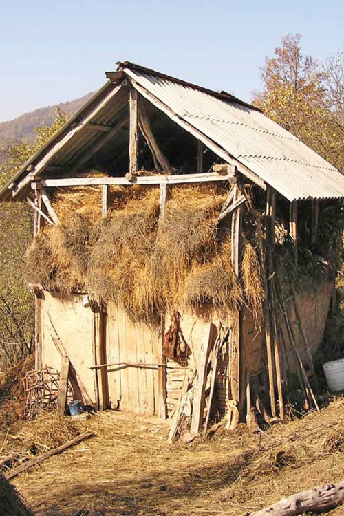 Dušica se porodila uz majku, koja je dete sahranila ispod pomoćnog objekta u dvorištu