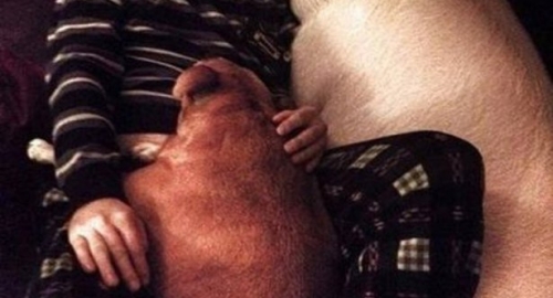 Prase Foto: www.bromygod.com | Foto: 