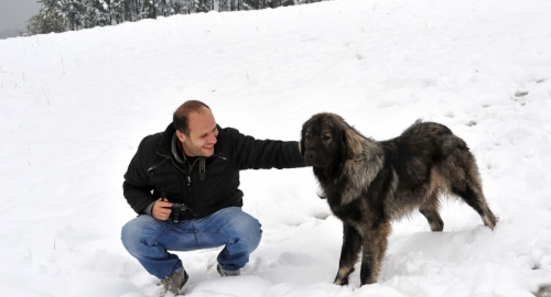 Zima na Zlatiboru | Foto: 