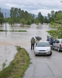 Vladičin Han
