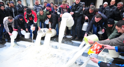 Prosipanje mleka pred zgradom Vlade Vojvodine | Foto: 
