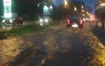 Novi Sad