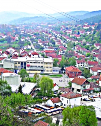 Bosilegrad
