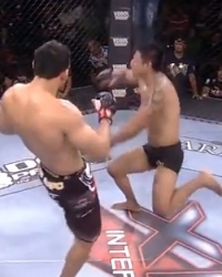 MMA