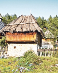 Posetite  raj za šetnju,  jahanje,  planinarenje, branje šumskih plodova,  lekovitog  bilja...