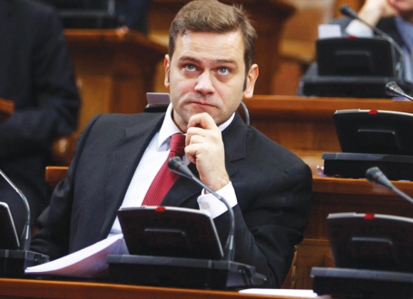 DS će glasati protiv zakona: Borislav Stefanović