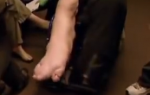 gigantske noge