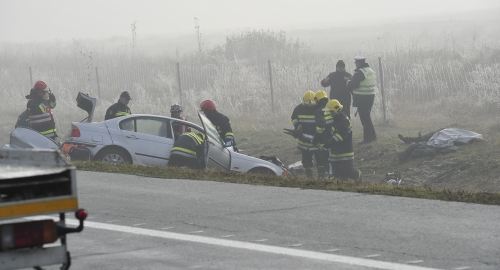 Lančani sudar na autoputu / Foto: Goran Srdanov | Foto: 