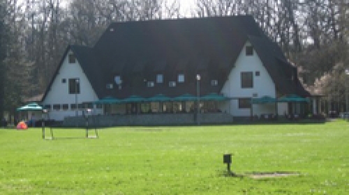 Morović