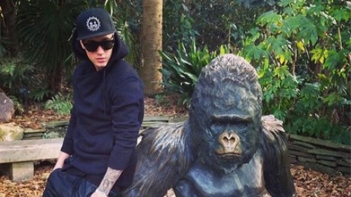 BIBER