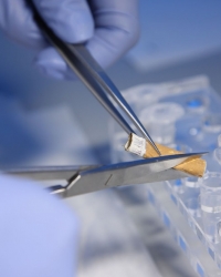 Laboratorija