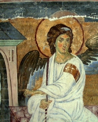 Beli anđeo