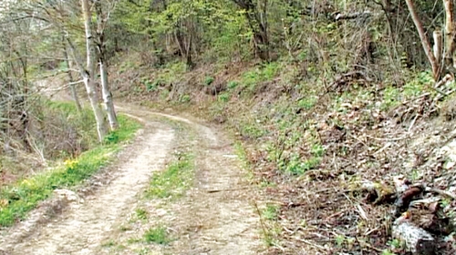 Mesto zločina