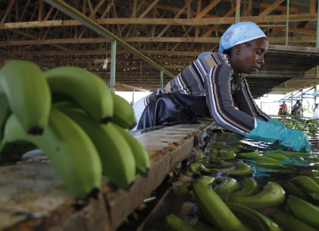 Banane