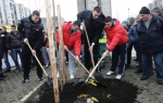 Košarkaši Zvezde i Partizana u akciji „Pošumi Beograd
