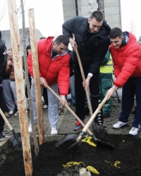 Košarkaši Zvezde i Partizana u akciji „Pošumi Beograd