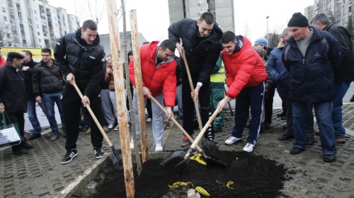 Košarkaši Zvezde i Partizana u akciji „Pošumi Beograd